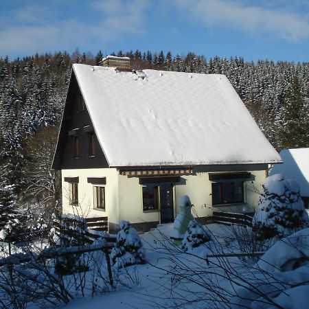 Erzgebirgsdomizil Am Schwartenberg Neuhausen  Eksteriør billede