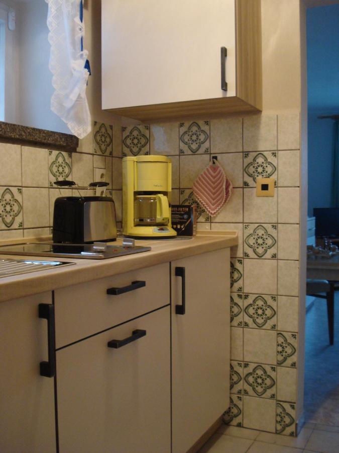 Erzgebirgsdomizil Am Schwartenberg Neuhausen  Eksteriør billede